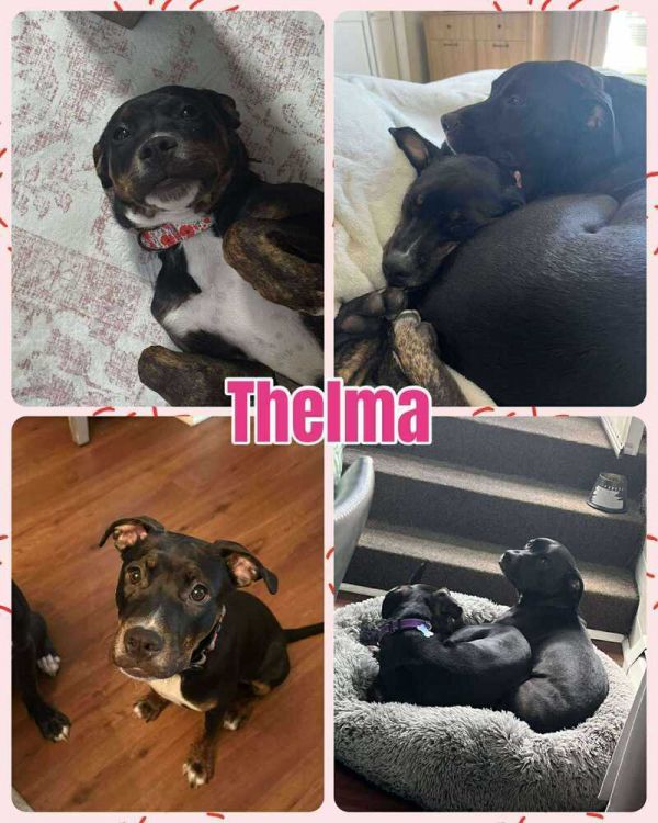 Thelma