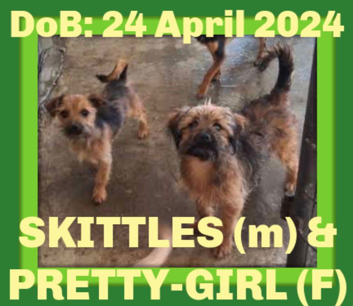 SKITTLES & PRETTY-GIRL