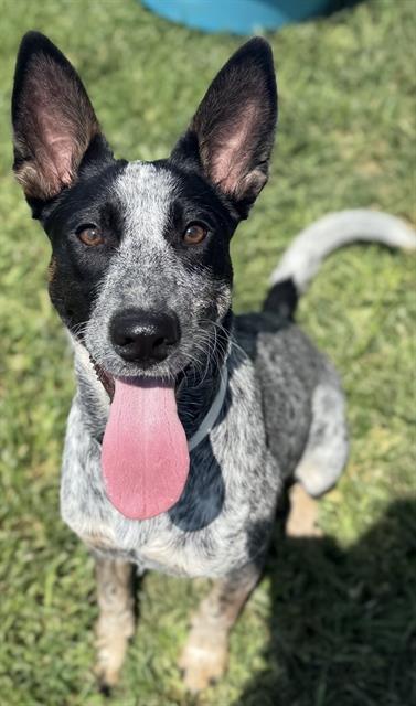 Sunshine thumbnail 2