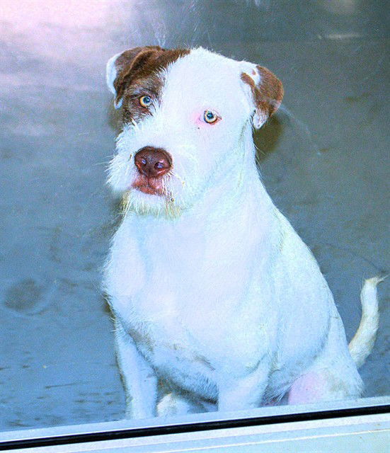 CASPER