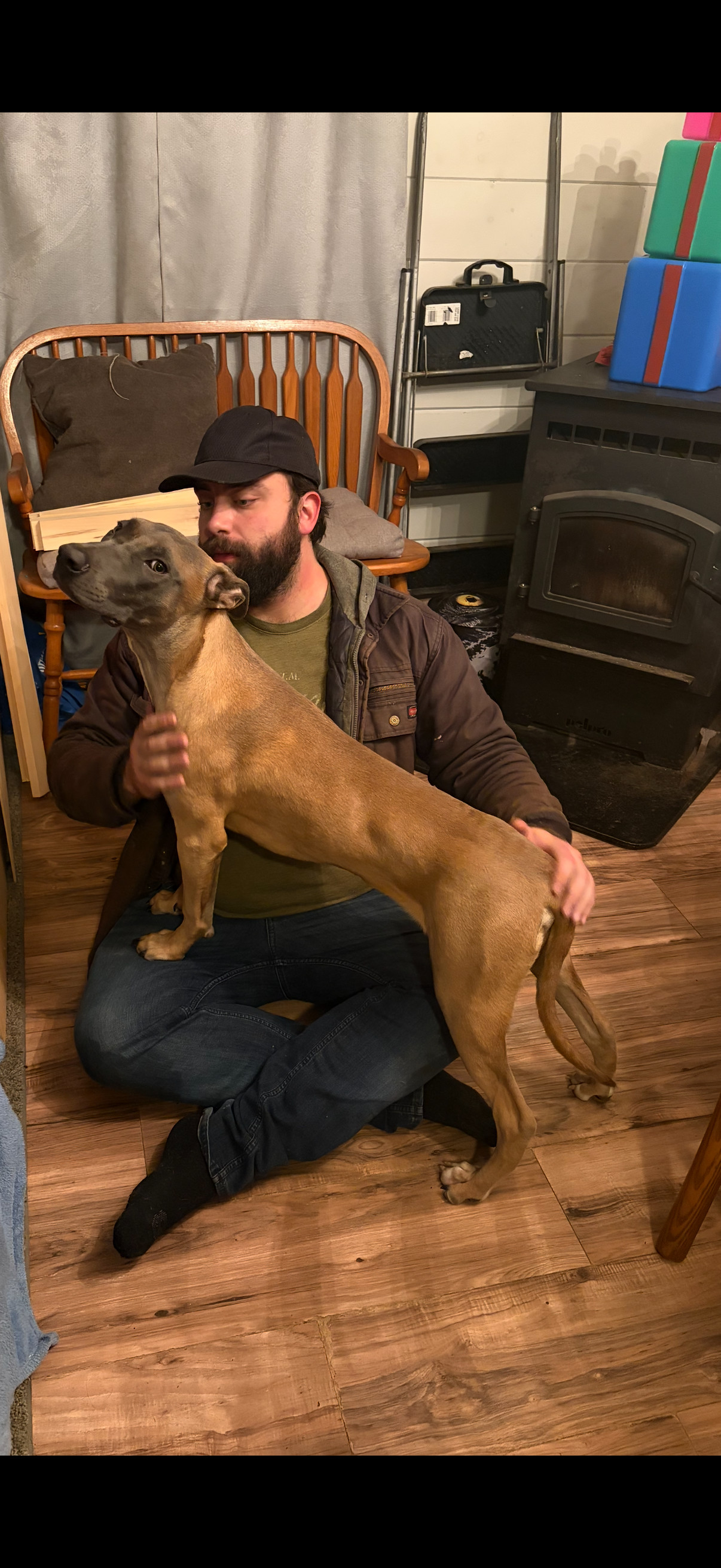 BART - Fostered in Howland