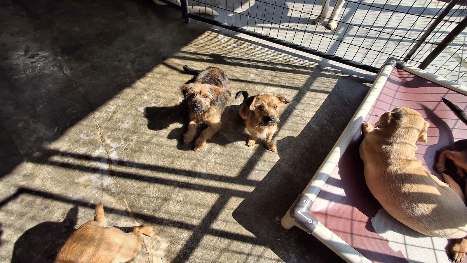 PRETTY GIRL & SKITTLES