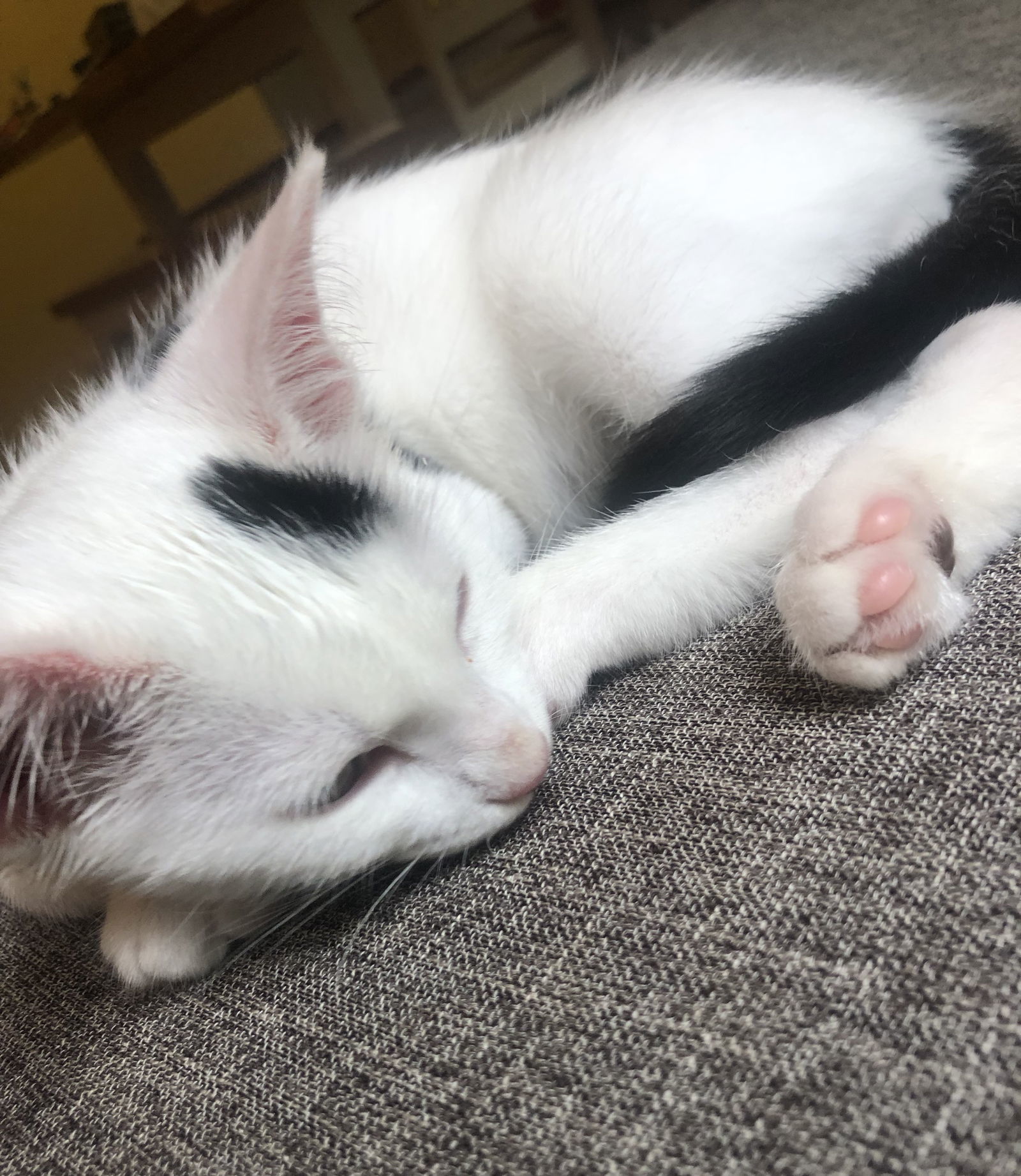 Turbo Smudge