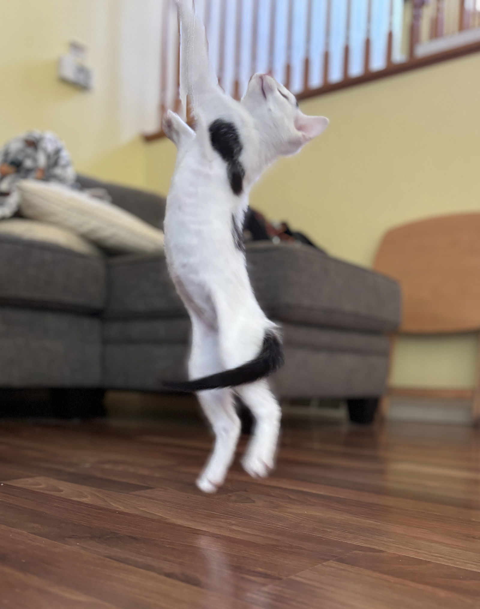 Turbo Smudge
