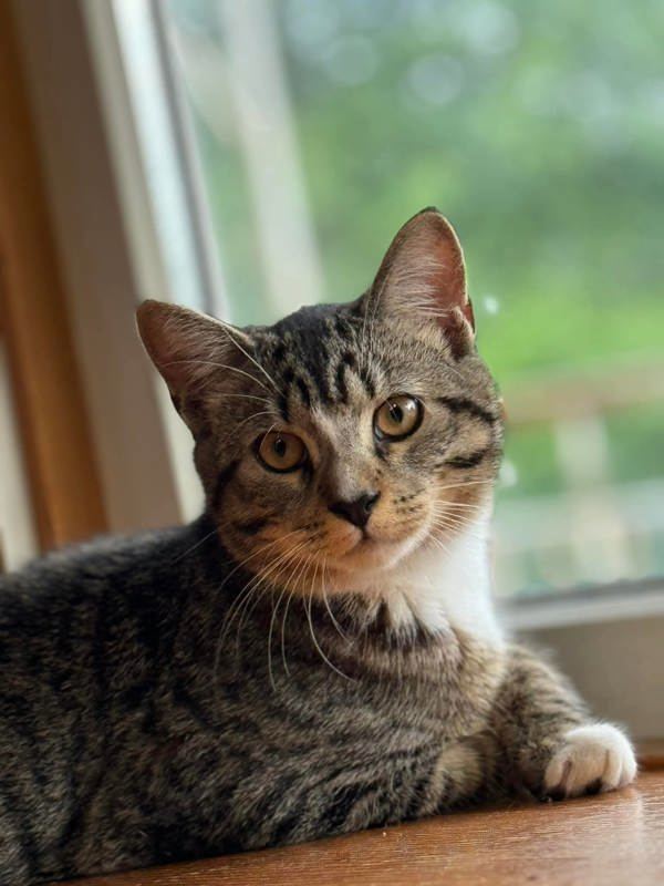 Keanu