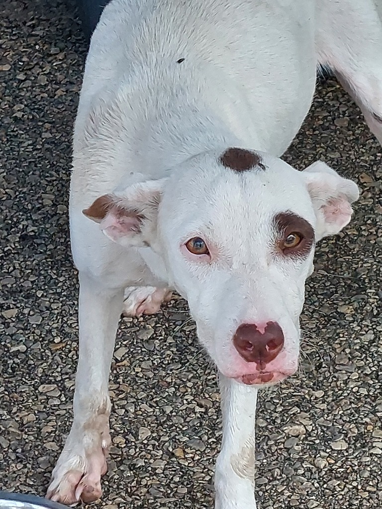 Betty