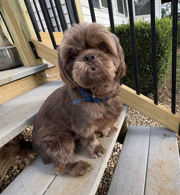 Jeffery(Chewy)~