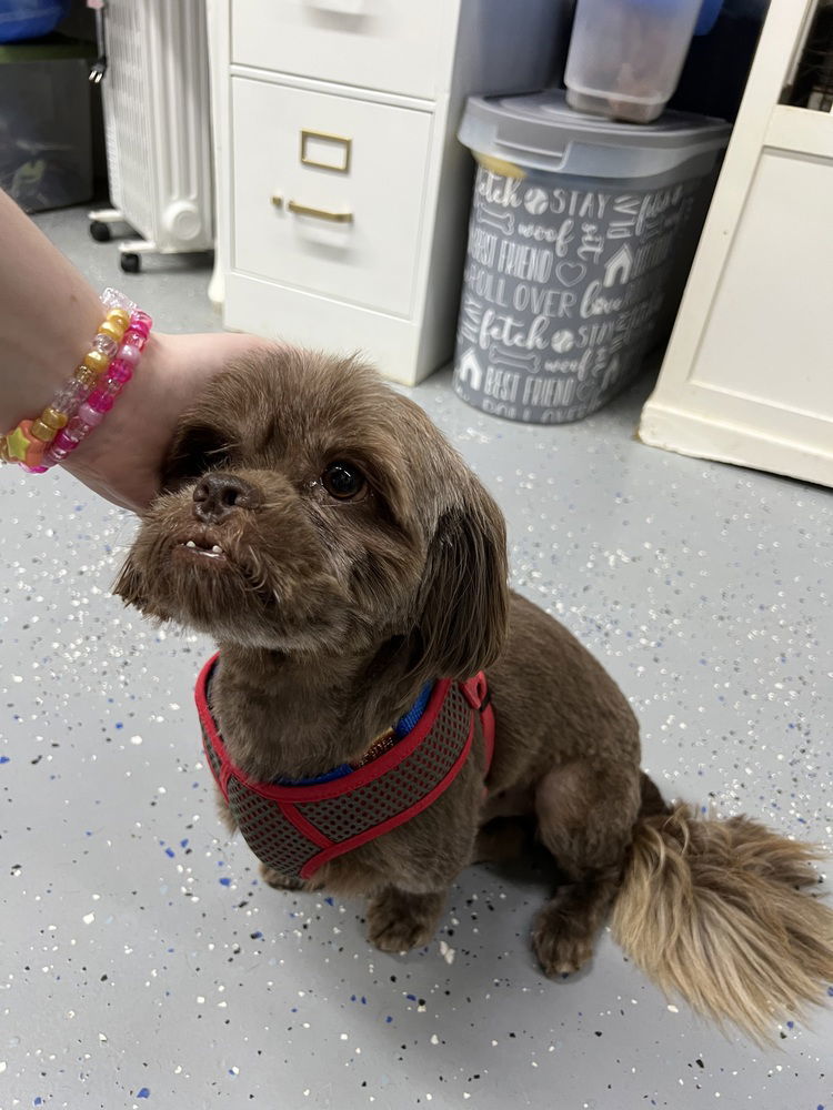 Jeffery(Chewy)~