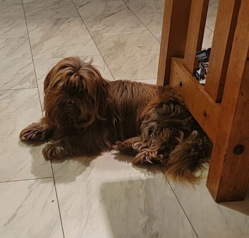 Jeffery(Chewy)~