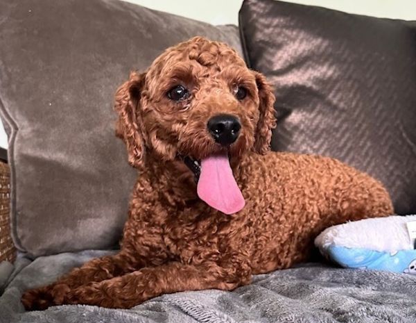 Milo