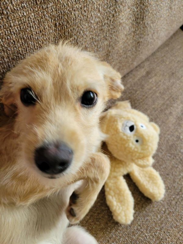 Sophie