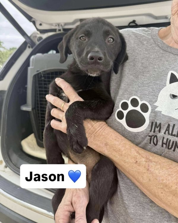 Jason (J Pup)