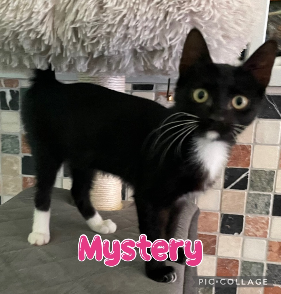 Mystery