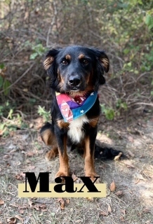 Max 33492
