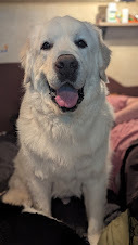 Jack