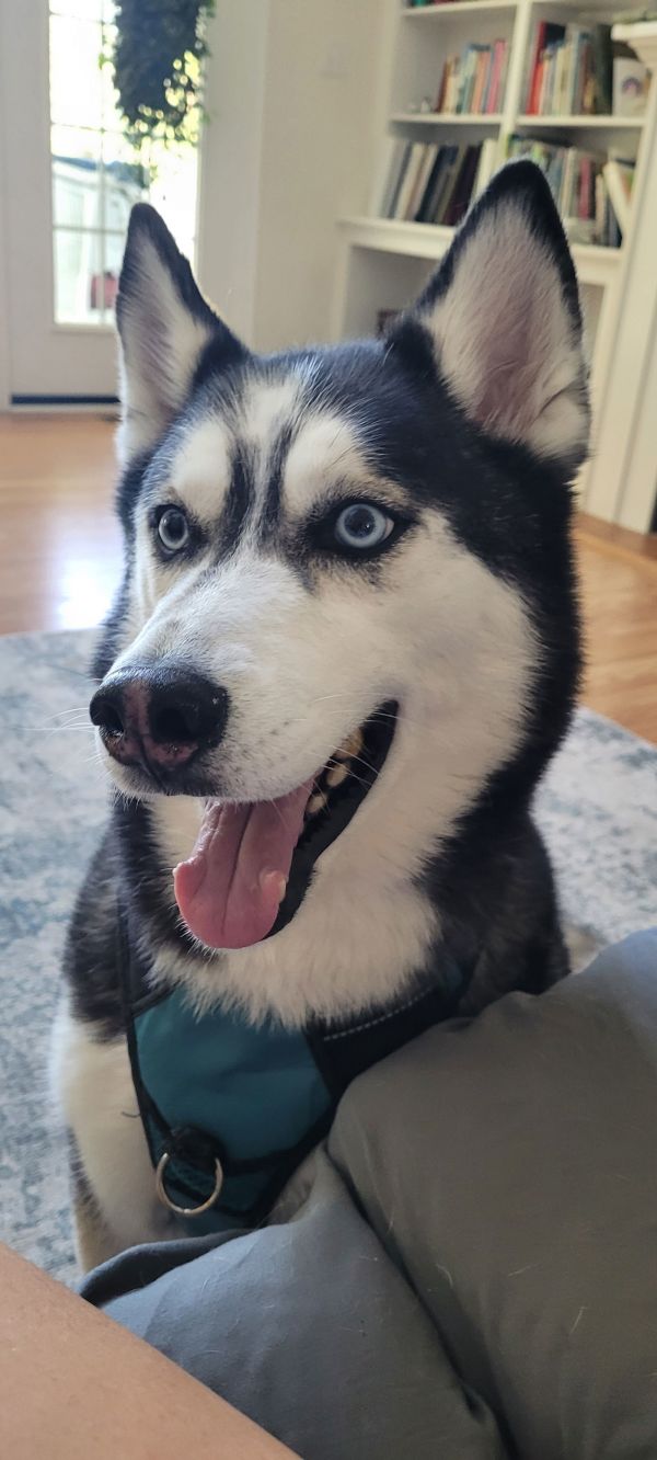 Fenris