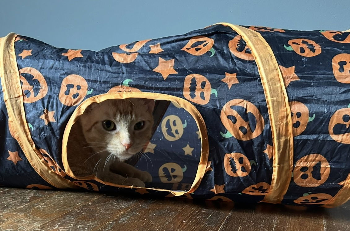 Meredith