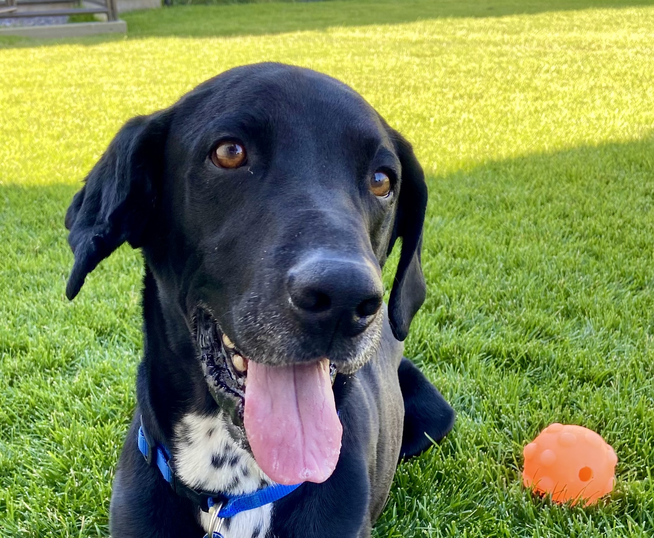 Zeke