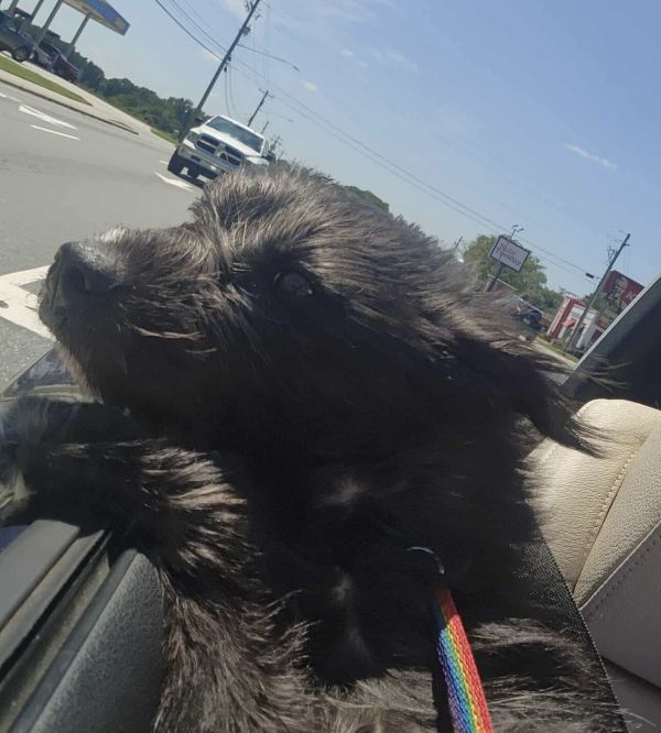 Izzy