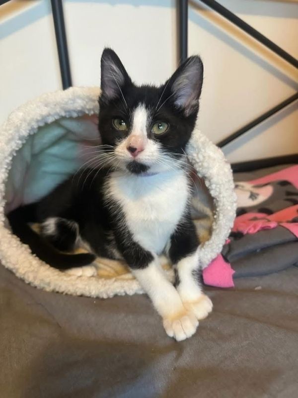 True Love thumbnail 2