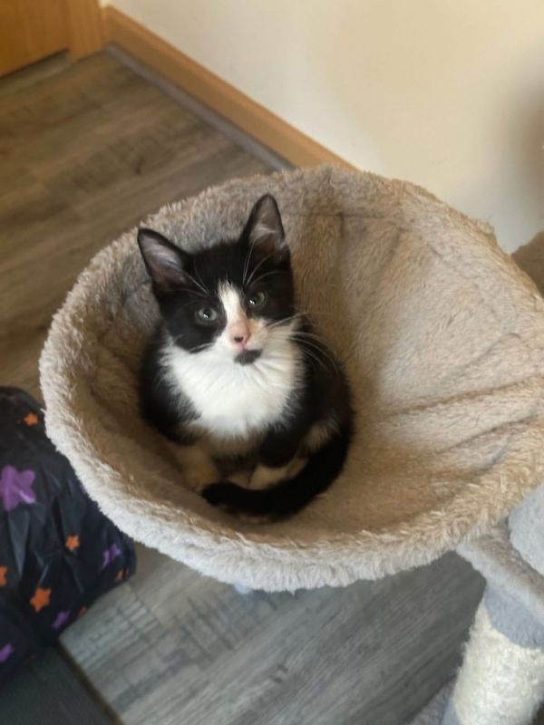 True Love thumbnail 4