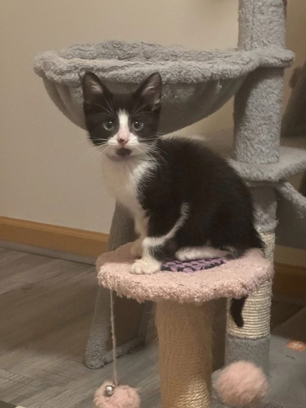 True Love thumbnail 5