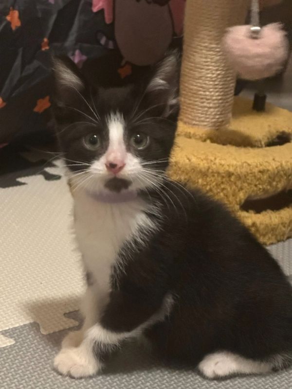 True Love thumbnail 6