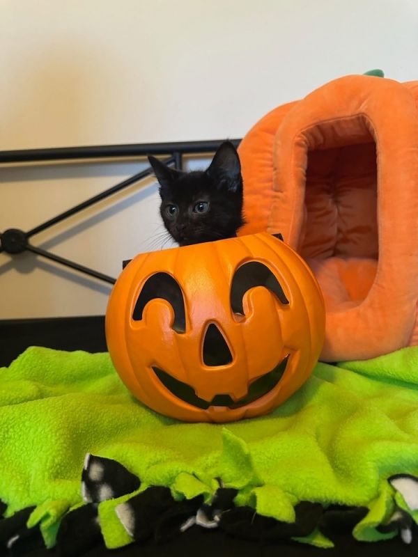 Forever &amp; Always photo 1