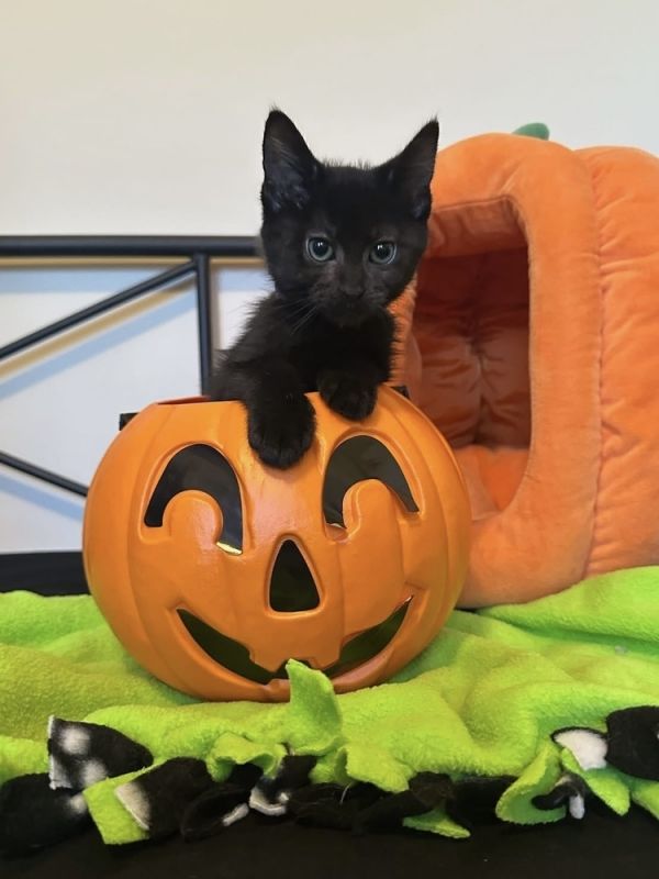 Forever &amp; Always thumbnail 2