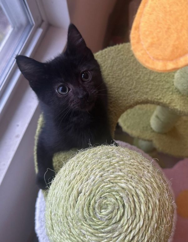 Forever &amp; Always thumbnail 3