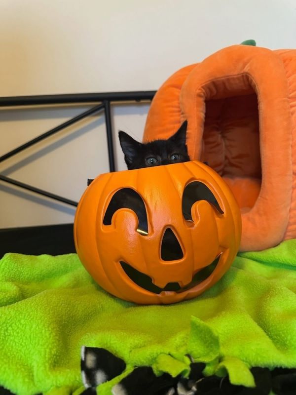 Forever &amp; Always thumbnail 4