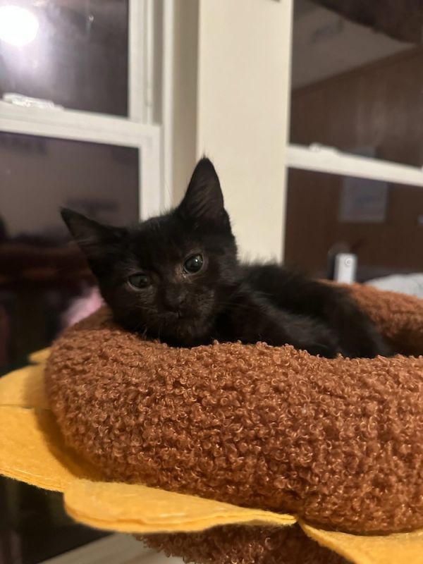 Forever &amp; Always thumbnail 5