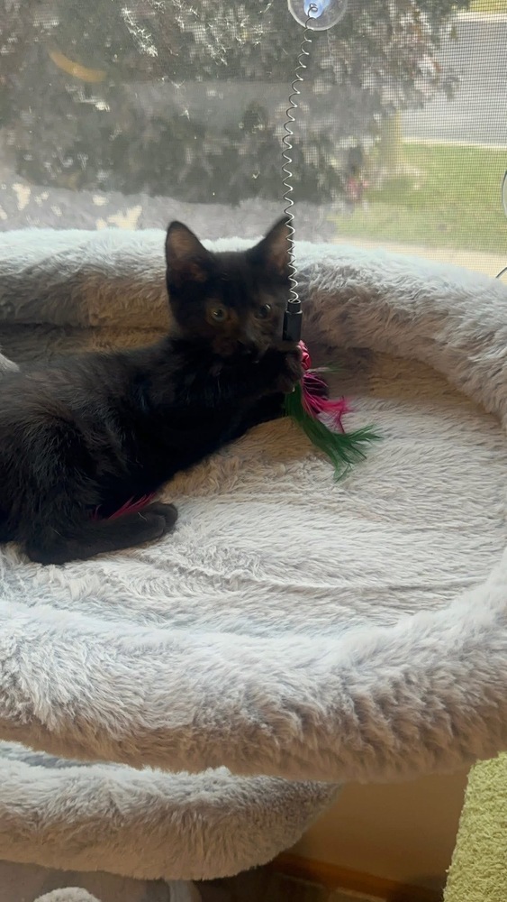 Forever &amp; Always thumbnail 6