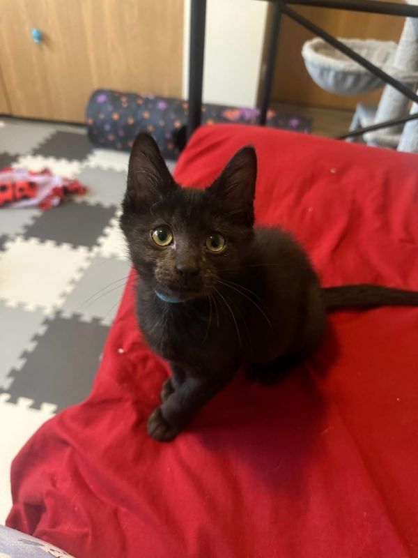 Proposal thumbnail 2