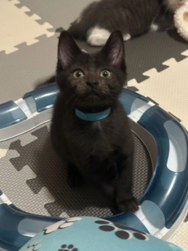 Proposal thumbnail 3