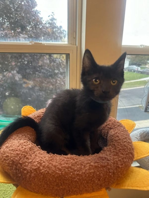 Proposal thumbnail 4