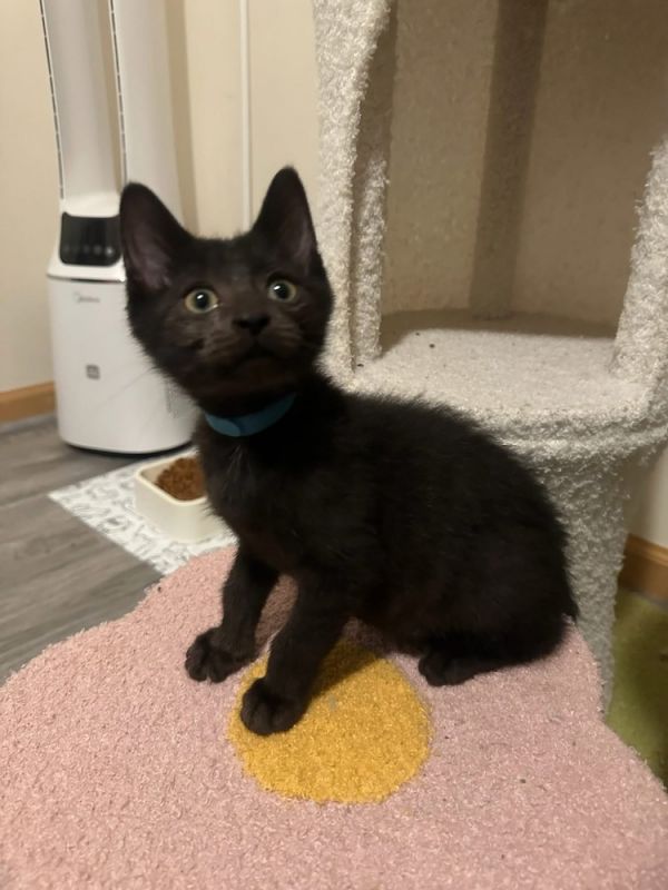 Proposal thumbnail 5