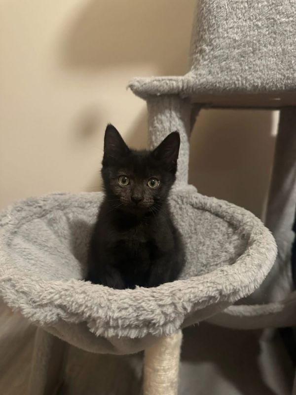 Proposal thumbnail 6