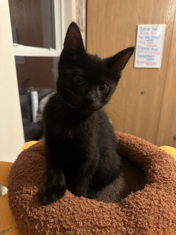 Tie The Bow thumbnail 5