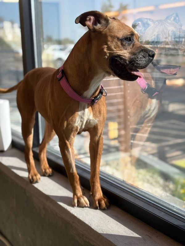 Bella