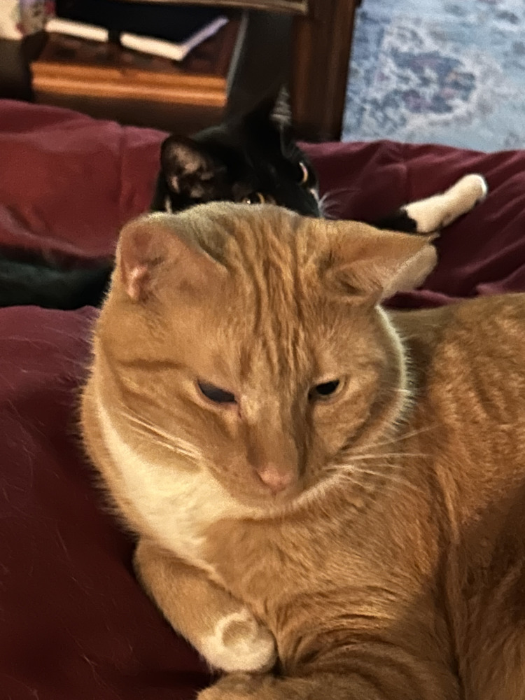 Opie