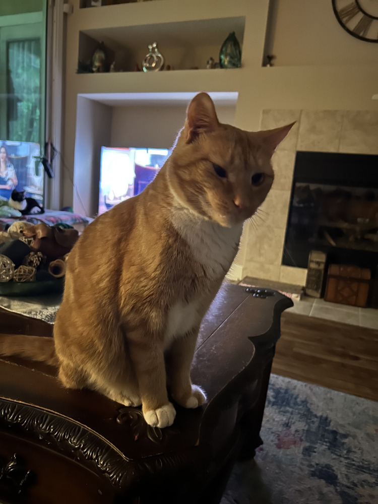 Opie