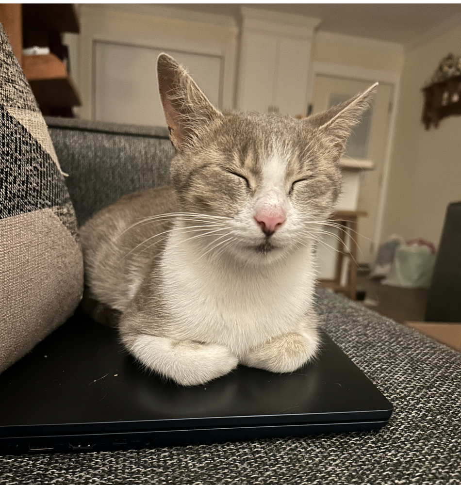 Sophie
