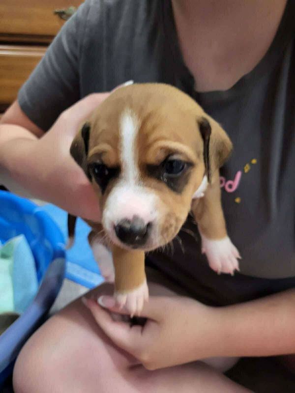 Oakley - Oh so cute!