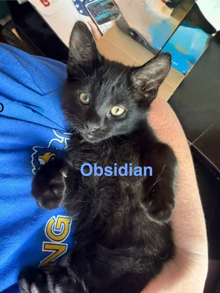 Obsidian
