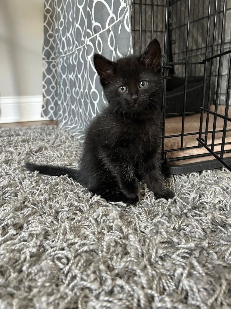 Onyx