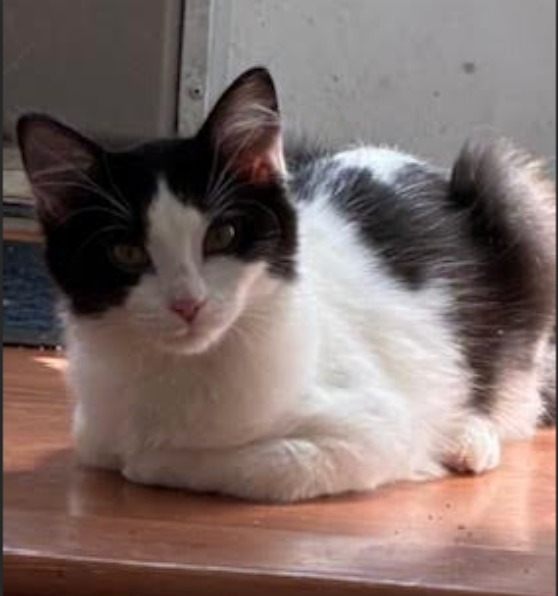 Rosie