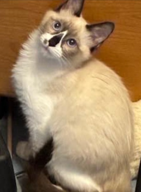 Milo