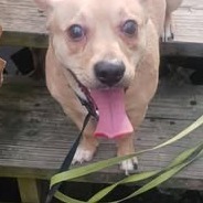 Paco
