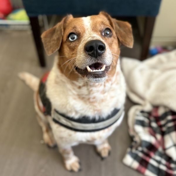 Benny